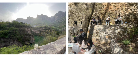 美术系(图14)